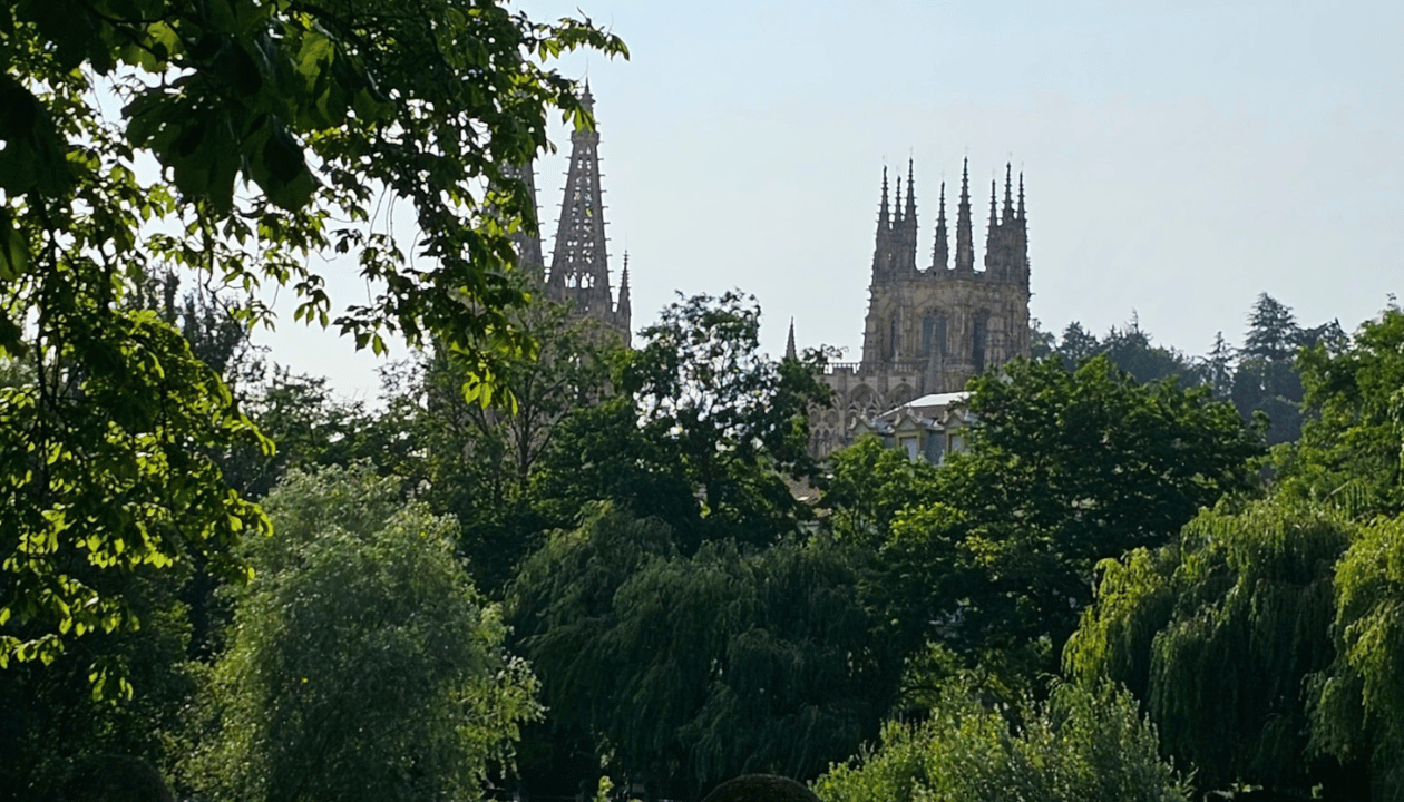 Enjoy a Relaxing Day in Fuentes Blancas Park