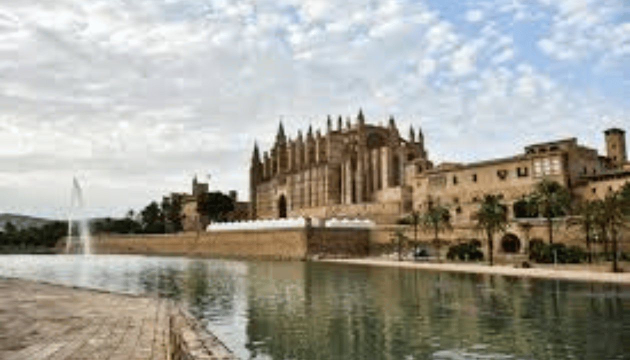 See the impressive Cathedral de Mallorca