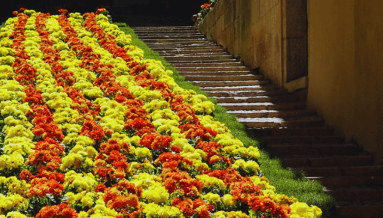 9. Attend the Girona Flower Festival